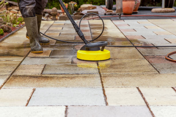 Best Dumpster Area Cleaning  in Blooming Prairie, MN
