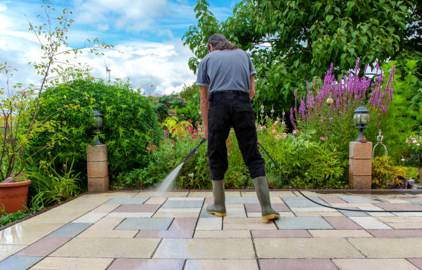 Best Concrete Sealing  in Blooming Prairie, MN
