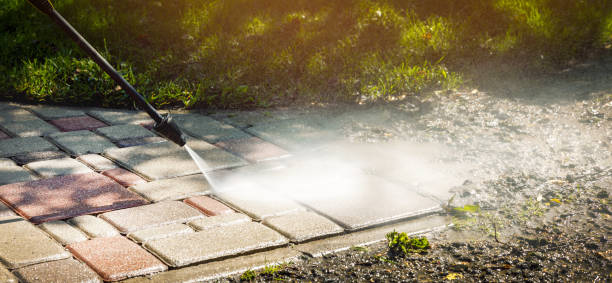 Best Building Exterior Washing  in Blooming Prairie, MN