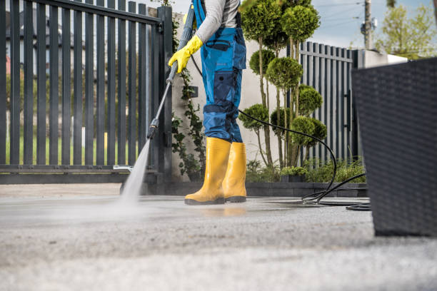 Best Sidewalk and Walkway Cleaning  in Blooming Prairie, MN