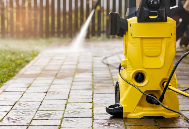 Best Roof Washing  in Blooming Prairie, MN